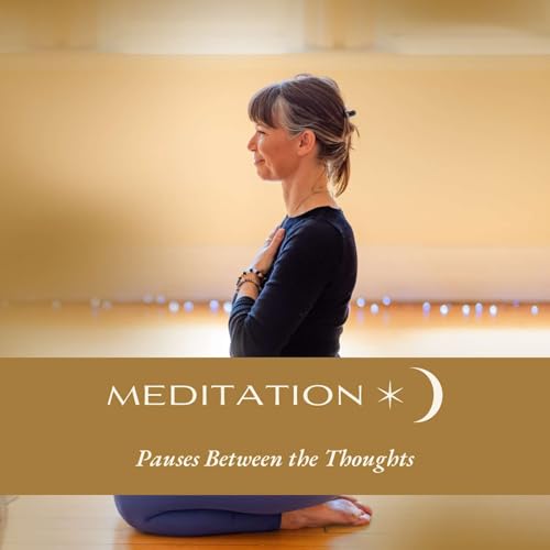 Couverture de Meditation for Pauses Between the Thoughts