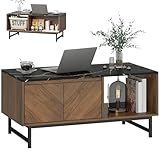 HOMCOM Table Basse, Table de Salon avec Plateau Effet marbre, 2 Portes et 2 Compartiments ...