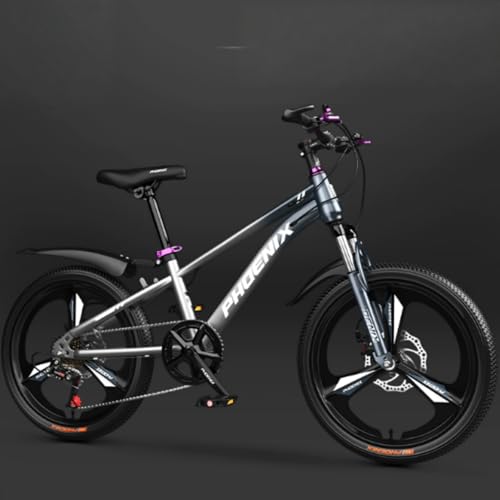 DazzixVoqp] 18/20/22C ] X|[coCN VOXs[h ϑȂ }EeoCN NXoCN X|[coCN w Z w ʋ ʊw WjAp w (22C`,ϑx/̌^zC[/O[)