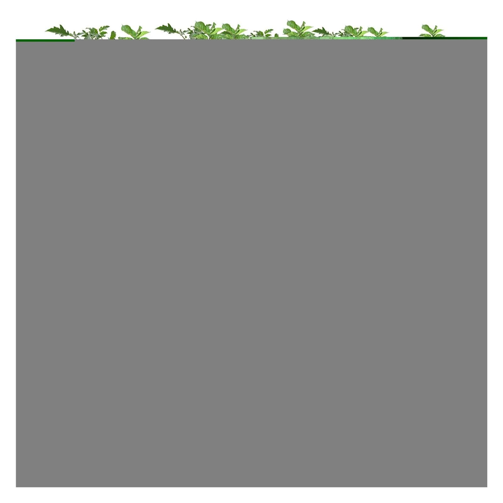 Macetas de Tela 5/7/10 galones, Bolsas Cultivo Gruesas no Tejidas for jardín, Vegetales, Tomates, Patatas, Herramienta con Mango, 2 uds para Cultivar Frutas(Grey,10 Gallon)