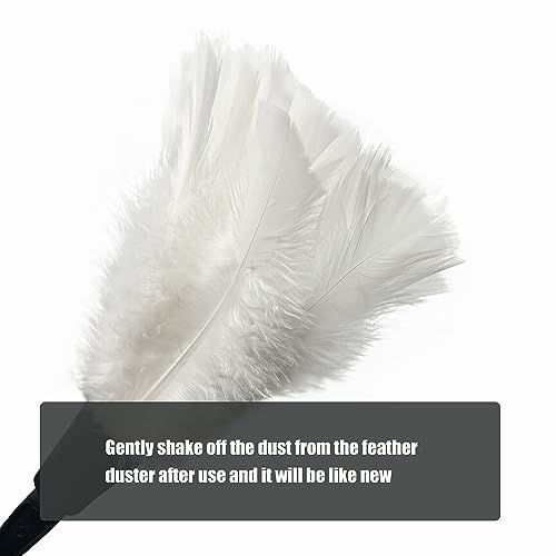 Image of 14 Inch Turkey Feather Duster - Lightweight Cleaning Brush for Home, Office, Furniture, Blinds, and Electronics (White)