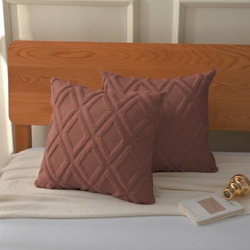 Pagnanno. Set of 2 & 4 Soft Velvet Cushion Covers 45x45cm(18x18 Inches) D8 Throw Pillowcases Square Covers for Chairs,living room,bedroom Invisible Zipper (45x45cm (18x18inch)