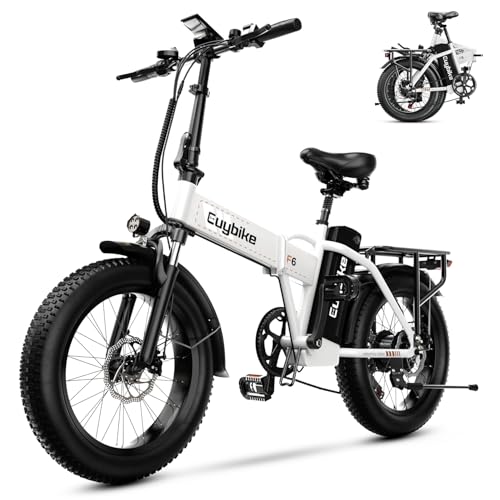 1000W Folding Electric Bike, 48V 20AH Large...