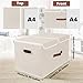 TYEERS Extra Large Collapsible Storage Bins with Lids and Compartments, Washable, Fabric Storage Boxes, 21.7x13x11.8 inches, 2 Pack, Beige