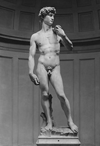 Posterazzi David Michelangelo Buonarroti Marble Poster Print, (8 x 10)