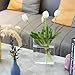 BuyCard Clear Acrylic Book Vase for Flowers, Transparent Flower Vase for Home Decor, Simplicity Bookshelf Decor, Unique Stuff for Book Lovers, Difference Maker, Gift to Motivate(Clear)