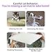 Cat Deterring Mat - 10-Piece Cat Scat Mat | Heavy-Duty Pet Training Pads for Scratch Prevention, Pet Repelling Pads for Indoor Cats, Garden Plant Protection Under Bed Wall Car Sofa Lawn