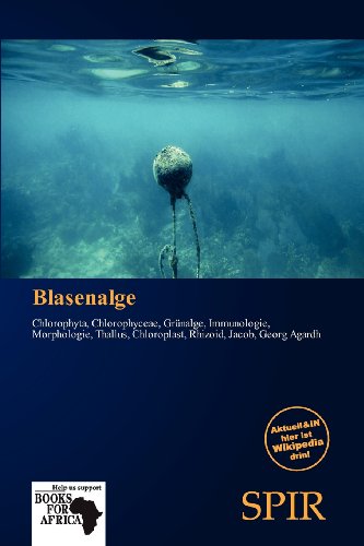 Blasenalge: Chlorophyta, Chlorophyceae, Grünalge, Immunologie, Morphologie, Thallus, Chloroplast, Rhizoid, Jacob, Georg Agardh