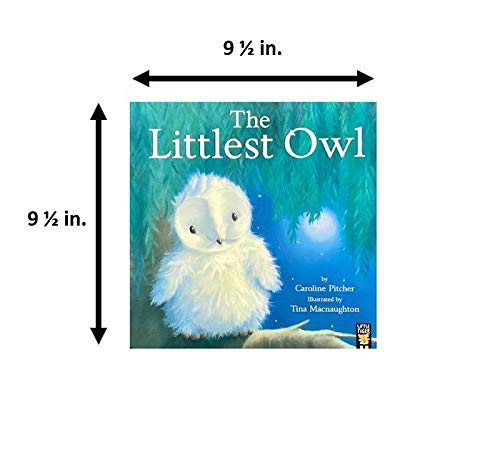 The Littlest Owl 1788818318 Book Cover