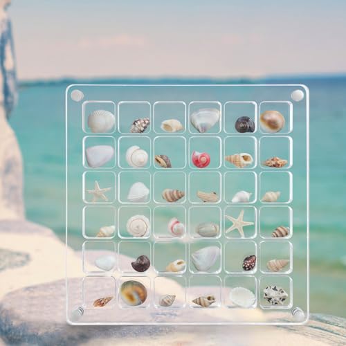 TaoQ C Acryl Magnetische Muschel Display Box, 36 Gitter Muscheln Aufbewahrungsbox Muschel Display Box Transparente Seashell Lagerung für Muschel Bead, Nagel, Schmuck