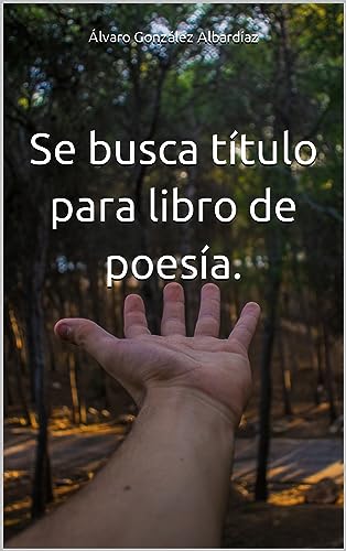 Se Busca Título Para Libro De Poesía. Se Busca Título Para Libro De Poesía.