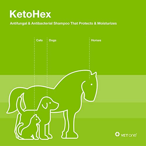 Vet One Ketohex Shampoo, 8 oz