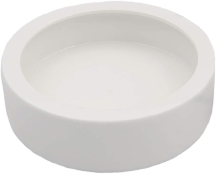 DC ADYOU Reptile Ceramic Food&Water Bowl Worm/Dubia Roaches Dish Against Escaping (Large)