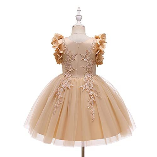 Weileenice Flower Girl Lace Dress Pageant Kids Wedding Christmas Holiday Party Dresses2