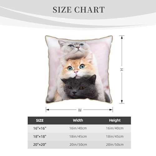Housse de coussin en velours durable et confortable trois chats - 5
