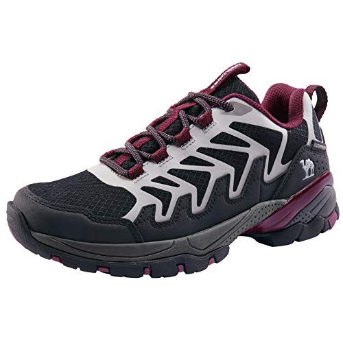Best Hiking Shoe For Plantar Fasciitis