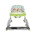Dream On Me 2-in-1 Ava Baby Walker, Easy Convertible Baby Walker, Walk Behind, Height Adjustable Seat, Added Back Support, Detachable Slate, Green