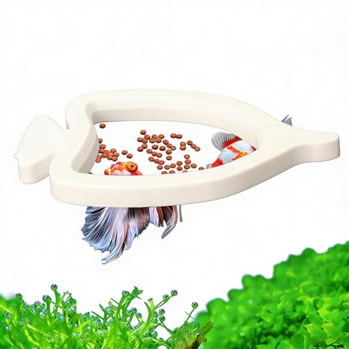 Betta ���a�����O ? ���͂ȕێ��͂��������ȋz�� |�O�b�s�[�ƊC�m�����ٗp�̐킢�̋��� �a��A�� �ق̑����s�[���p�̋� �̋��a �����O �C���^ ���������ىƒ�p��