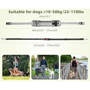 Pecute hands free dog leash with pouch waist belt fanny pack with soft padds dual padded handles and durable bungee for walking hiking jogging biking and running up to 220lbs   cucciolini doodles