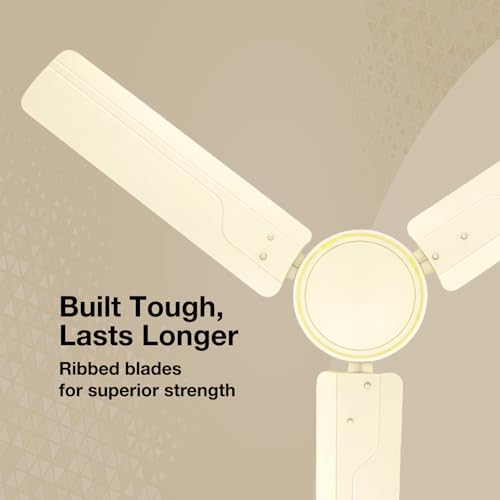 Image of Havells REO Vaayu 1200 mm ES Ceiling Fan | High Speed, High Air Delivery | Strong & Powerful |Air Delivery: 220CMM| RPM: 370| 2 Year Warranty | (Pack of 1, Bianco)