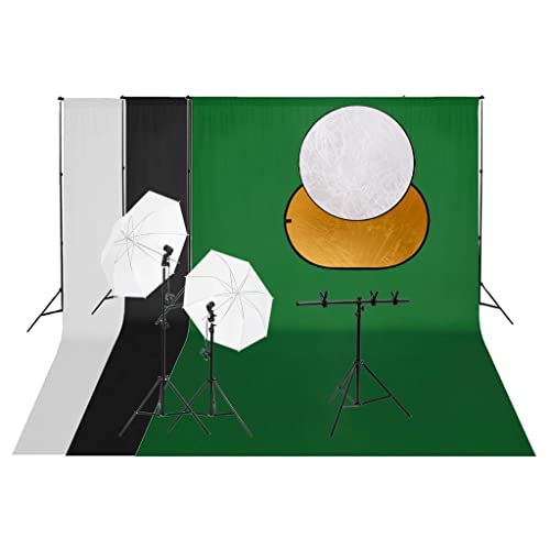 vidaXL Kit de Estudio fotográfico con Set de Luces, Fondo y Reflector