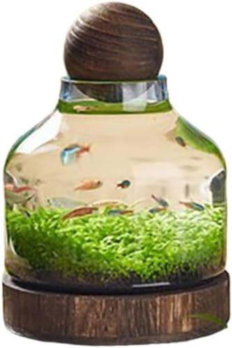 CokBluKX{g GR{g & ؐgCt afUCő@\ k͔|EANAEEԕrɑΉ eʂŃCeAɍœK (17*24CM)