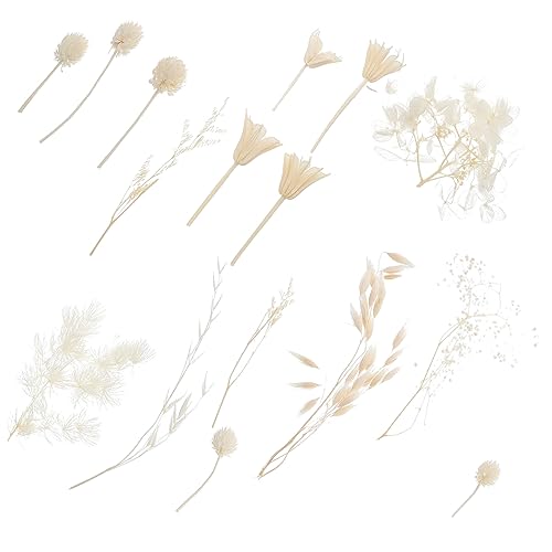 Kit de Flores Secas para Manualidades Flores Eternas Blancas miniatura 1