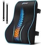 POOTACK Lumbar Support Cushion, Memory Foam Back Support Cushion Lumbar Support for Office Chair, Car Seat, Recliner, with Extension Strap and Mesh Cover