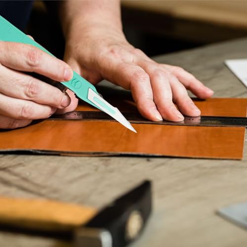 20 Stück Skalpellklingen, Sterile Skalpellmesser mit Skalpell-Griff, Kunststoff Chirurgische Skalpellmesser, Skalpellklingen Aus Karbonstahl, Ersatzklingen mit Schutzkappe, Einzeln Steril Verpackt