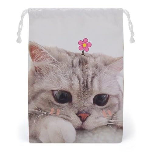 В  L lR Lbg ԕ В|[` Ђ [|[`  Rbv σ|[` Mtg @\ y ϋv ܂  20*25cm