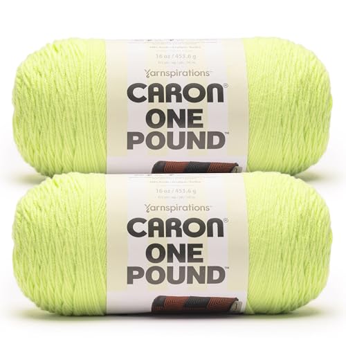 Image of Caron One Pound Soft Yarn for Crocheting & Knitting, Lime Mist, 2-Pack | #4 Worsted Medium, Soft 100% Acrylic Yarn for Crochet, Knitting, Blankets and Crafts, 812yds, 453.6g /16oz per skein