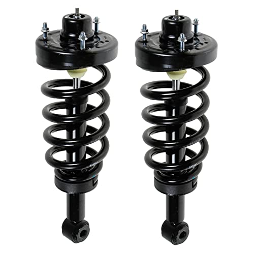 Image of TRQ Rear Strut and Spring Assembly Set