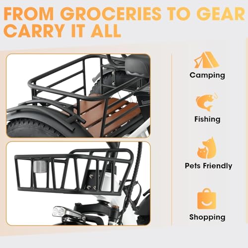 Skeri 750W Folding Electric Trike