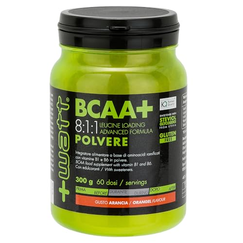 BCAA+ 8:1:1 Aminoacidi Ramificati, 300 g
