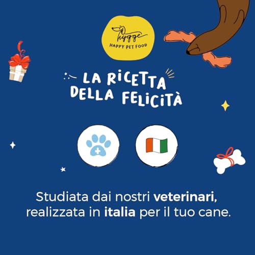 Adventskalender: Natürliche Hundekekse Apfel, Kokosnuss und Mandeln | Lecker, gesunder und weihnachtlicher Hundesnack | Erleben Sie die Magie von Weihnachten mit Ihrem Hund | 24 Stück - 70 g | Hygge