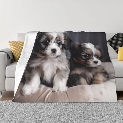 Couverture pour chiot douce en flanelle pour protéger le canapé et le lit douillet