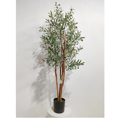 オリーブ の木 おしゃれ」の人気商品一覧 | 安い商品を通販サイトから