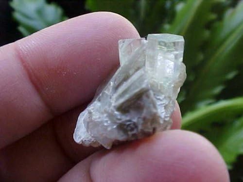 B4822 Gemqz Aquamarine & Muscovite Mini Cluster Nice !!!