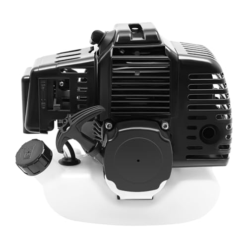 EEYBLAEEY 49CC 2 Stroke Engine Motor for Pocket Bike ATV