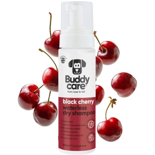 Buddycare Shampoing Sec Chiens 200ml Cerise Noire