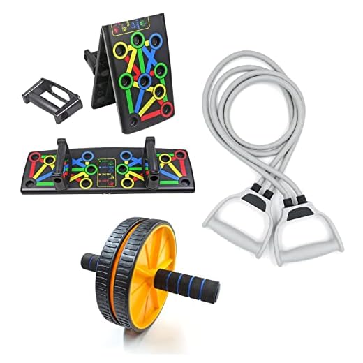 LIVOX 9 In 1 Body Building Push-up Rack Board Abs Wheel Roller with Toning Resistance Tube Band Gym Exercise Equipment Combo Set for Men and Women Home Workout Kit