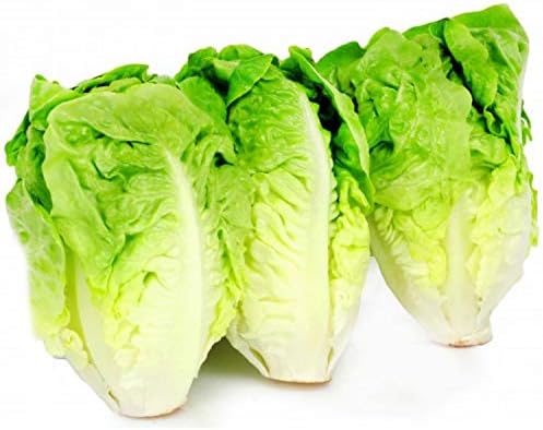 50 Graines De Tomate Red Pear - Légume Ancien Jardin Potager