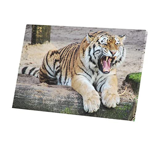 Toile imprimée tigre qui feule tableau décoratif animaux sauvages 90 x 60 cm
