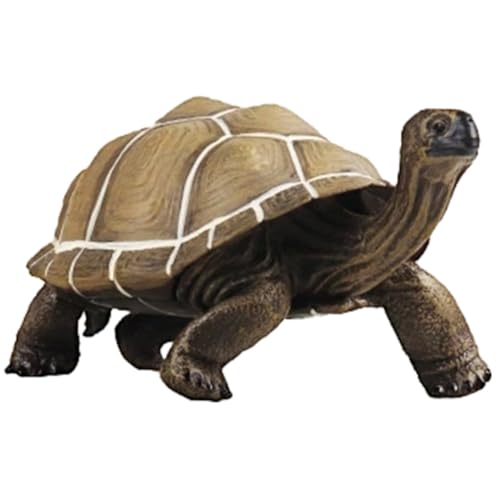 Tortue en plastique réaliste pour décor de bureau enfant et accessoire photo