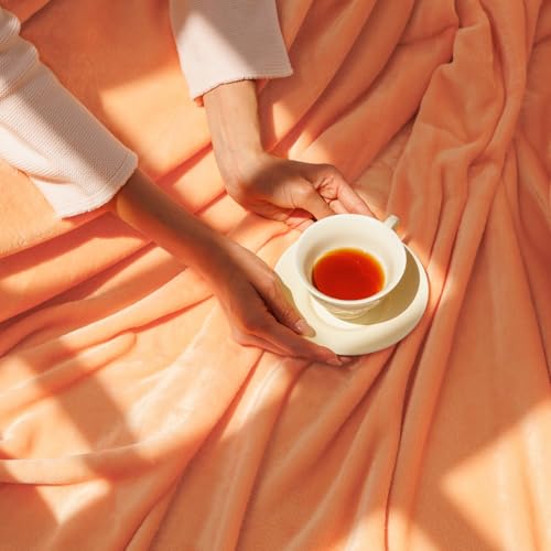 Image of NANPIPER Soft Baby Blanket Lightweight Breathable Fleece for Toddler All-Season Peach Pink 30 inchx40 inch