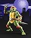 Bandai TAMASHII NATIONS S.H. Figuarts Raphael 
