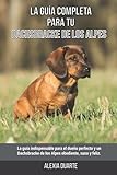 dachsbracke carattere  La Guía Completa Para Tu Dachsbracke de los Alpes: La guía indispensable para el dueño perfecto y un Dachsbracke de los Alpes obediente, sano y feliz.