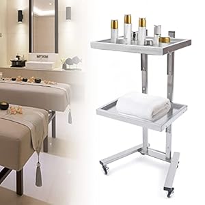 2 Tier Foldable Trolley with Stainless Steel Tray Universal Rolling Tray Cart Storage Mobile Trolley Equipment for Hair Salon Tattoo Studio Spa Beauty Shop Silver (15.75×11.8×33.86in)