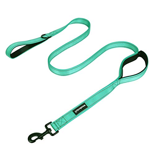 Wondertail Two Handles Dog Training Leash,Control Safety Dogs Rope Leashes,Durable Highly Reflective Leashes For Small Medium Large Dogs(Green,5Ft) #TOP8