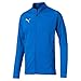 Produktbild Puma Herren FINAL Training Jacket Jacke, Electric Blue Lemonade Black, L